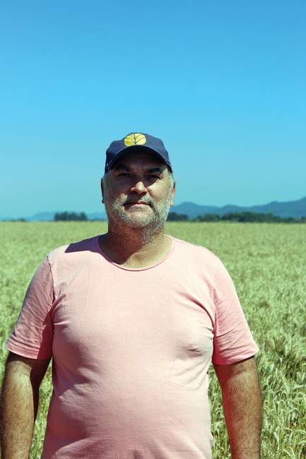 Produtor Alberto Prass, de Rincão do Simião, iniciou a colheita na última terça, 10, com preocupação