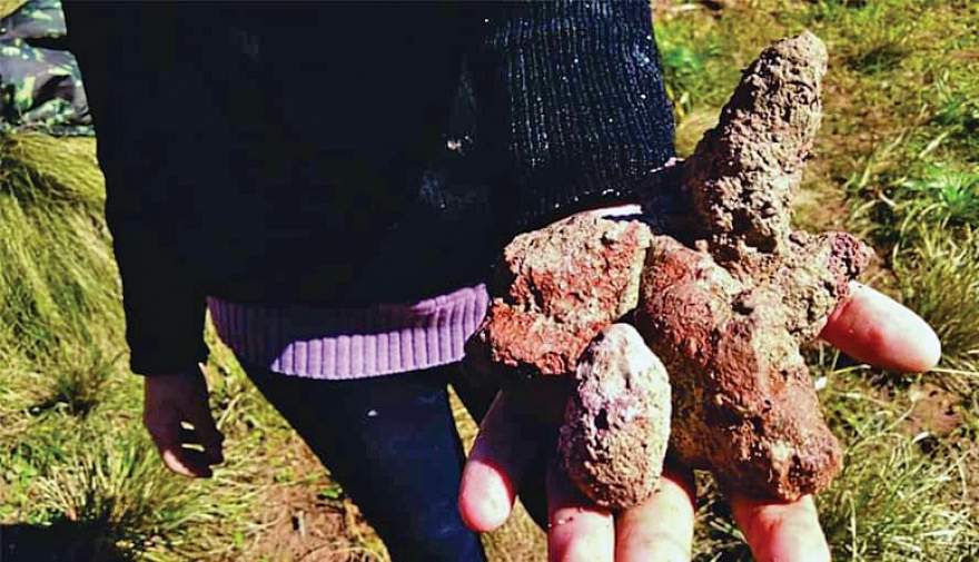 Nova rocha encontrada no município apresenta características raras para a região

