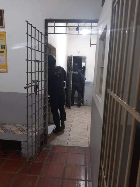 Foto: Susepe / Divulgação