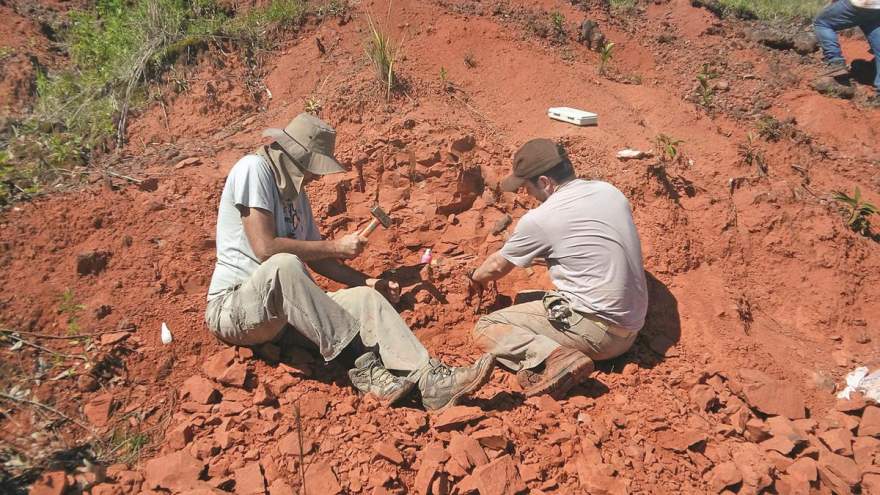 Material foi descoberto dia 13 de setembro durante visita de pesquisador argentino