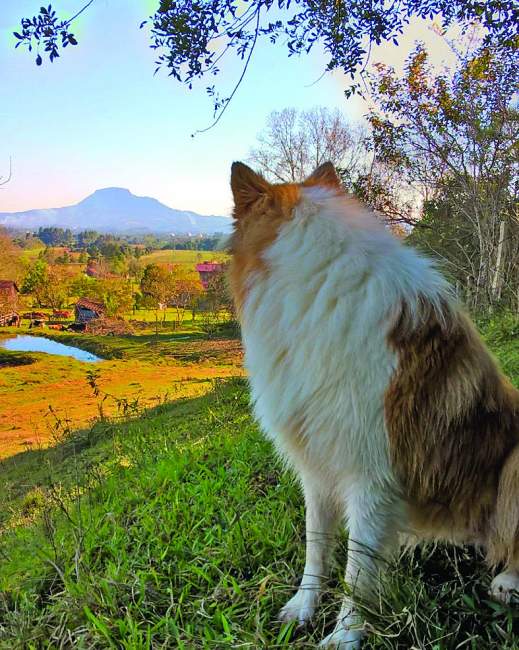 A foto intitulada “Apreciando o Botucaraí”, de Milena Voese Ferreira, foi a vencedora no ano passado