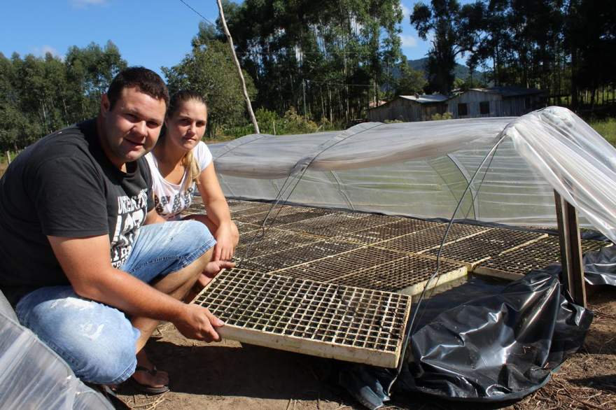 Lucien e Dienifer já realizaram a semeadura de tabaco nos canteiros. Produtor pretende realizar o transplante para a lavoura a partir de 15 de junho 