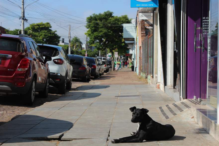  Principais avenidas da cidade têm longos trechos sem árvores (Foto: Odete Jochims | Folha de Candelária)