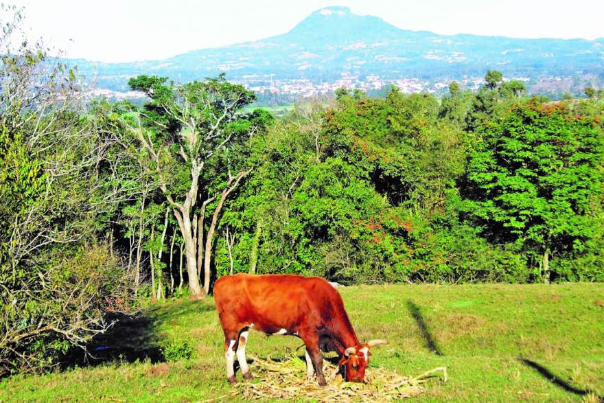 Economia diversificada: com boa produção agropecuária, município apresentou grande expansão industrial nos últimos anos 