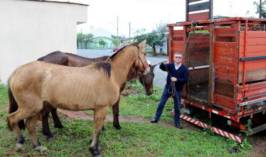 Secretário do Meio Ambiente esteve presente no momento da apreensão (AI da Prefeitura de Candelária)