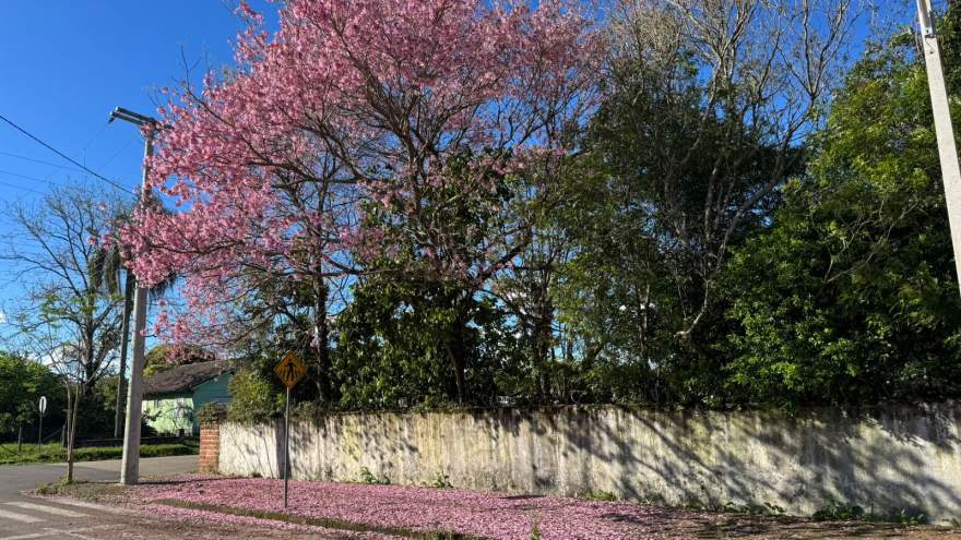 Ruas do município marcadas por cores vibrantes
FOTO: Mariana Bataioli - Folha de Candelária