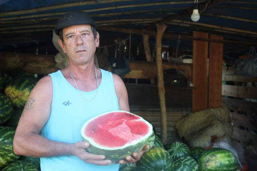 Claudir José Moraes de Lima produz as melancias no Passo da Areia, em Rio Pardo, e há cerca de cinco anos comercializa a fruta em Candelária 