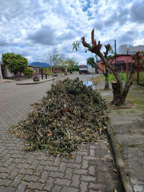 Coleta dos resíduos verdes não será mais realizada gratuitamente pela prefeitura