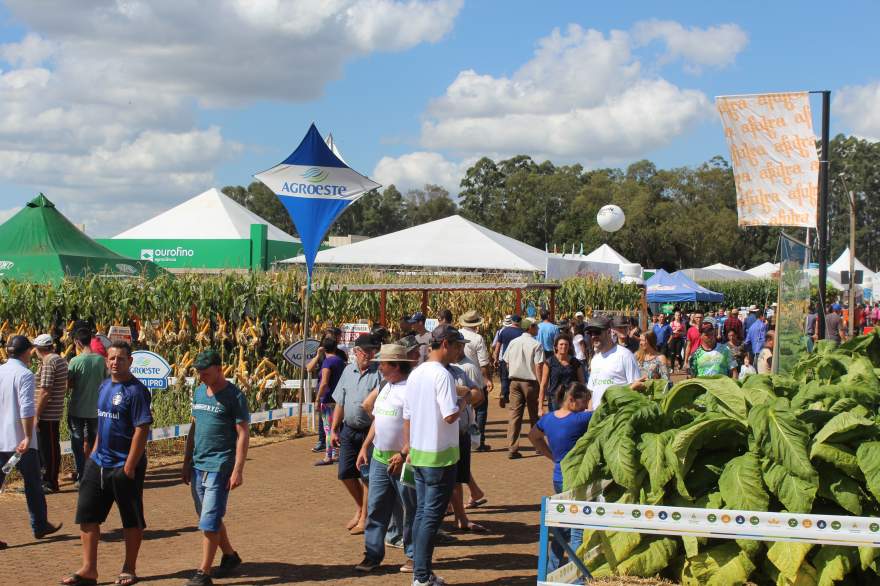 Visitação ocorreu de forma intensa nos três dias do evento