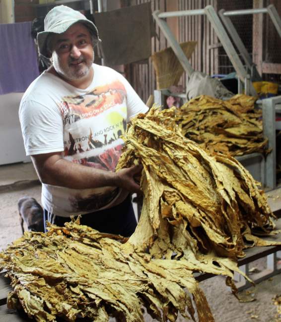  Arthur Mallmann / Folha de Candelária