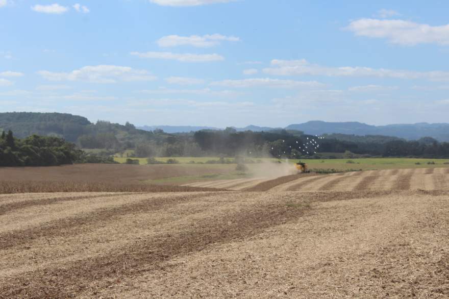 Foto: Arthur L. Mallmann / Folha de Candelária
