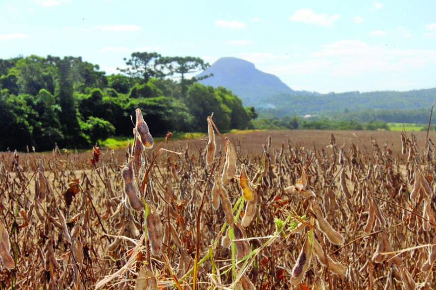 Foto: Arthur L. Mallmann / Folha de Candelária