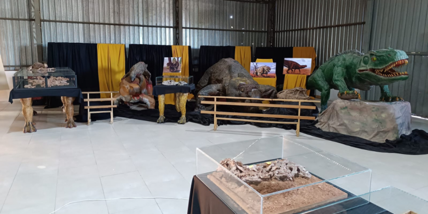 Mostra paleontológica será um dos destaques da feira (Foto: Divulgação)