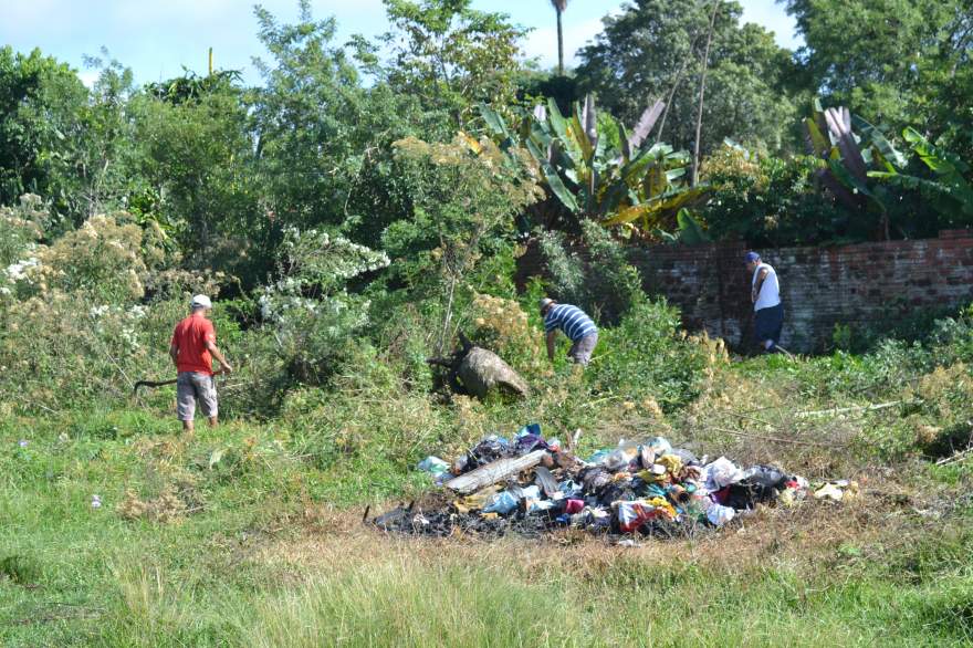 Servidores realizam a limpeza do mato e recolhem o lixo