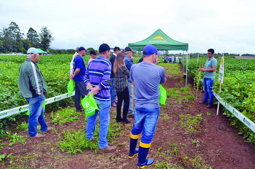 Produtores foram conferir as novidades em novas tecnologias durante o dia de campo promovido pela Sollus Agrícola