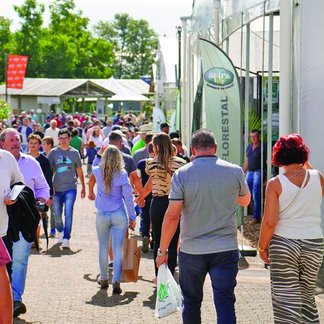 Feira é realizada em Rincão del Rey, no município de Rio Pardo (Foto: Divulgação)