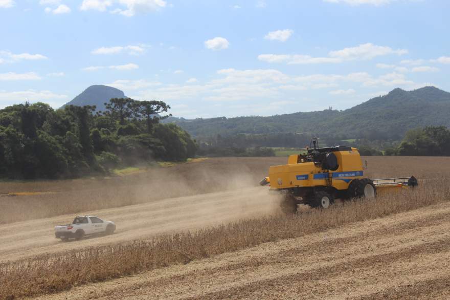 Foto: Arthur L. Mallmann / Folha de Candelária