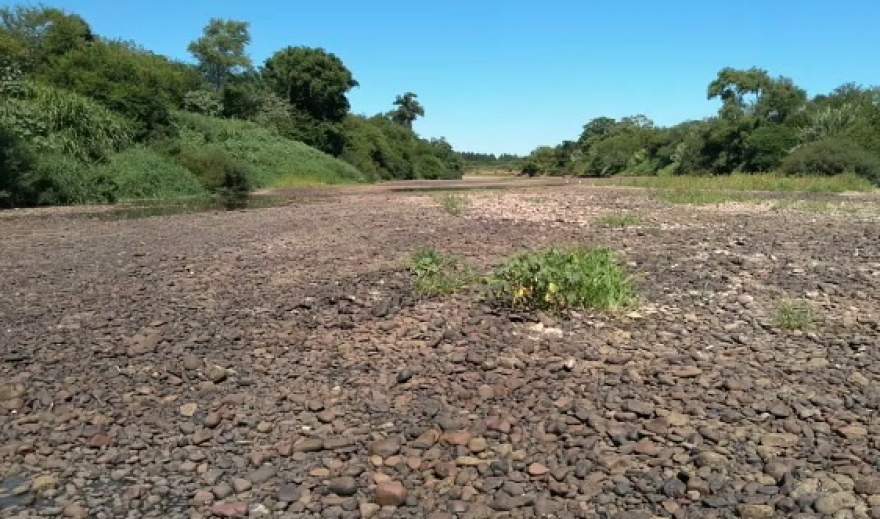 Na localidade de Rebentona, onde se concentram as lavouras de arroz e soja, leito do Rio Pardo deu lugar a pedras e vegetação