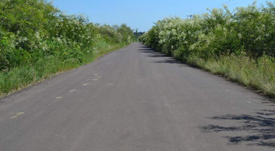 Novo asfalto ainda não possui sinalização na pista e vegetação das margens em alguns pontos está invadindo a estrada por falta de manutenção