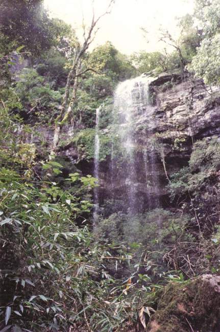 Cascata na localidade possui cerca de 30m de altura