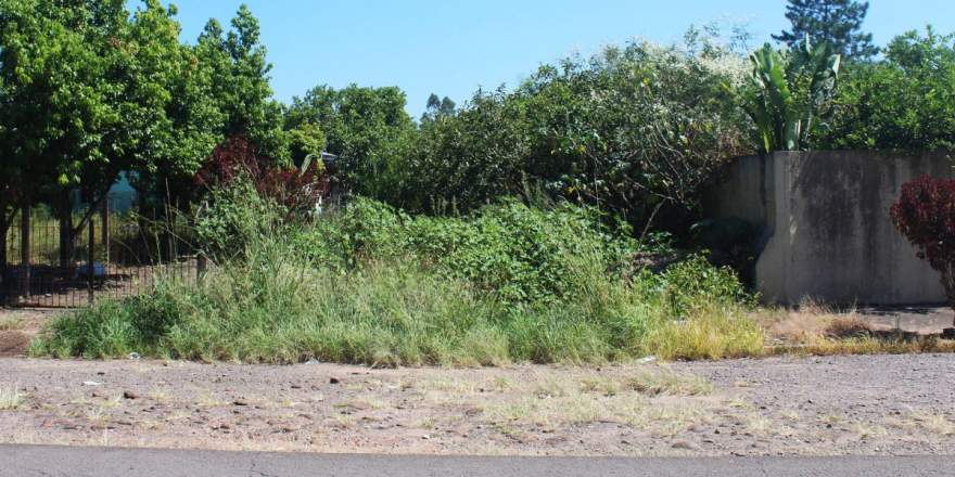 O terreno, avaliado em R$ 71 mil, fica após o CTG, para quem vai em direção à RSC-287 (Foto: Odete Jochims | Folha de Candelária)