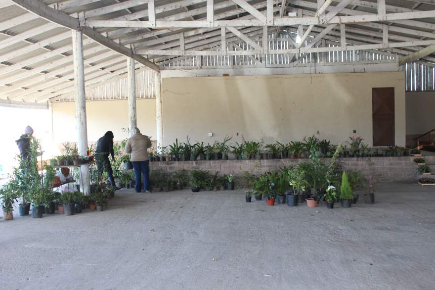 Evento conta com comercialização de plantas no pavilhão aberto