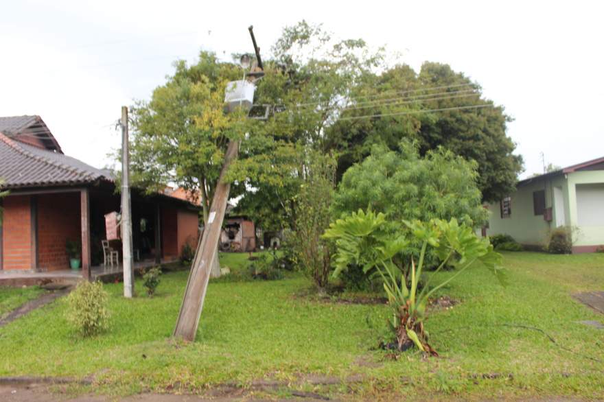 Vento derrubou poste sobre árvores