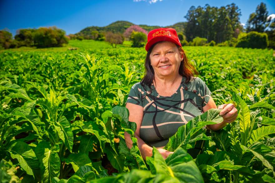 Além do trabalho na lavoura, Elonita se dedica ao planejamento e gestão das safras. ( foto Gelson Pereira)