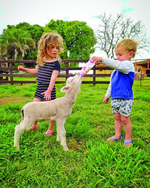 Vitoria e Conrado: conectados com a natureza e os animais