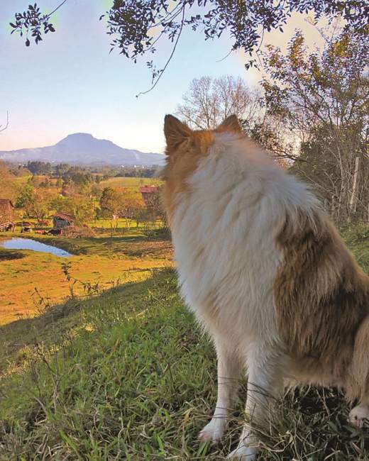 1º lugar: Apreciando o Botucaraí, de Milena Voese Ferreira