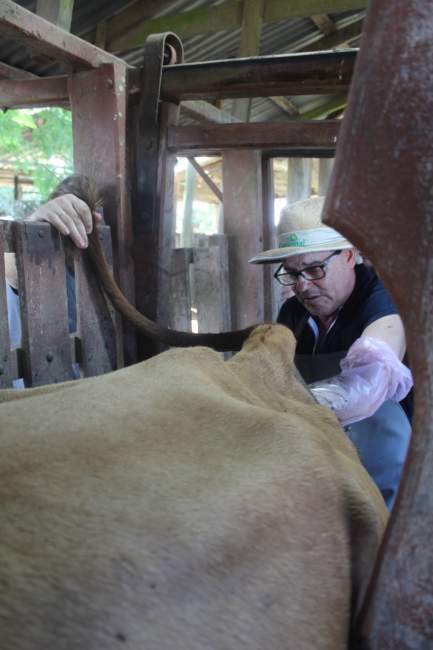 Foto: Charles Silva / Folha de Candelária