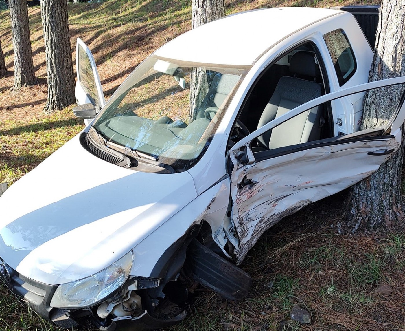 Sagui branco é resgatado ferido após ser atropelado em rodovia no interior  do Acre, Acre