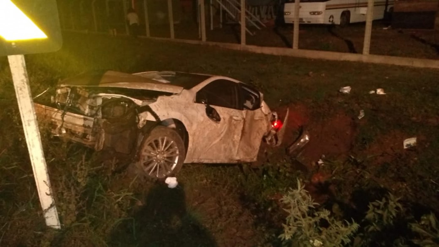 Sagui branco é resgatado ferido após ser atropelado em rodovia no interior  do Acre, Acre