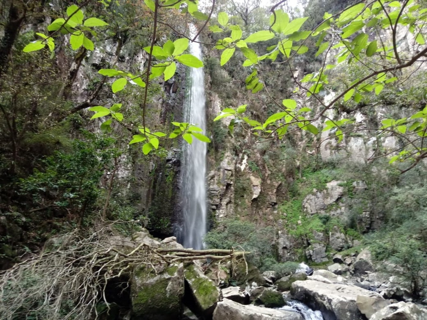 Cascata do Macaco Branco, Prefeitura de Sao Francisco de Assis RS