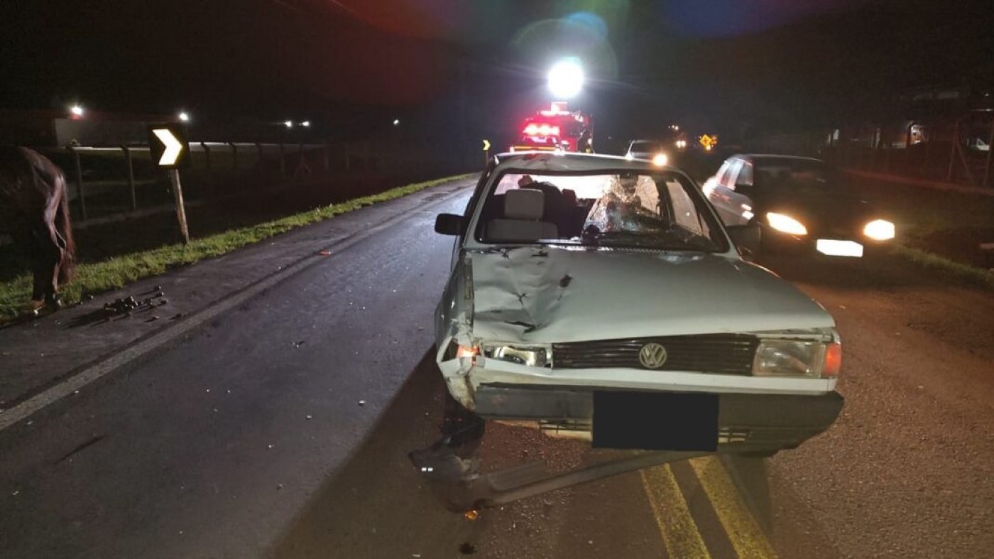 Sagui branco é resgatado ferido após ser atropelado em rodovia no interior  do Acre, Acre