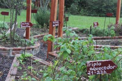 Um espaço para as plantas bioativas em Cortado 