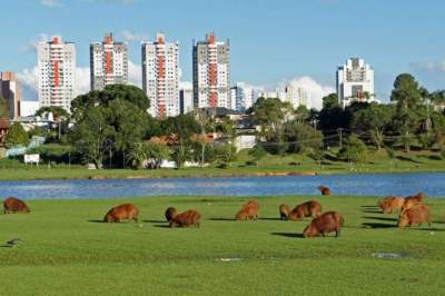 Por Erni Bender: a linda Curitiba para visitar