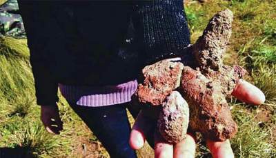 Nova rocha encontrada no município apresenta características raras para a região

