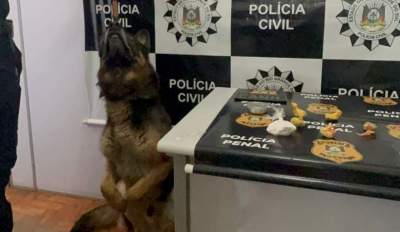 Polícia deflagra ação no Bairro Ewaldo Prass