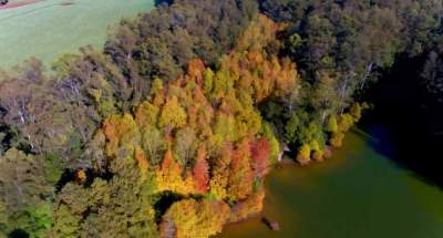 A magia do outono toma conta do Parque Witeck 