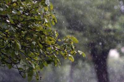 Calor intenso e chuva são as previsões para esta semana na região