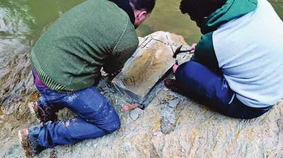Paleontologia, chuvas permitem novas descobertas em Candelária