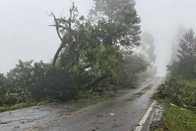 Temporal causa estragos em Candelária 