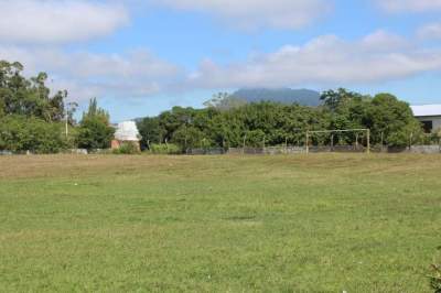 Campo com a roçada realizada