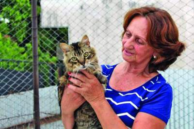 Inspiração:  Dona Olga, uma história de vida em prol da causa animal