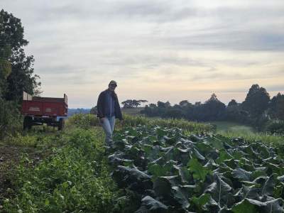 As raízes e o futuro da agricultura familiar