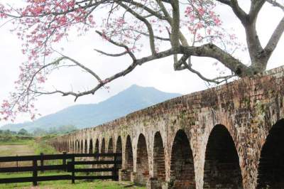 Expocande e Fenachim pautam reunião da Aturvarp em Candelária