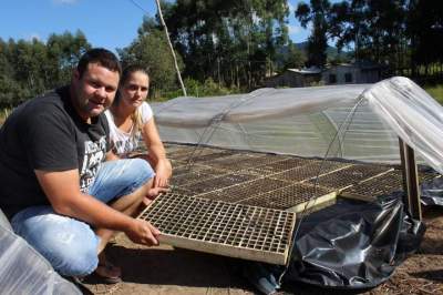 Lucien e Dienifer já realizaram a semeadura de tabaco nos canteiros. Produtor pretende realizar o transplante para a lavoura a partir de 15 de junho 