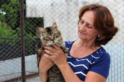 Olga Maria e os limites da dedicação à causa do amparo e proteção aos animais