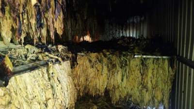 Incêndio atinge estufa na Linha Palmeira